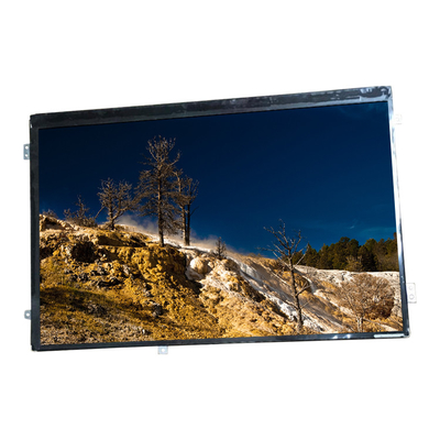 HannStar Laptop-LCD-Bildschirm-Anzeigefeld HSD101PWW2-A01 für ASUS TF201