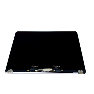 Laptop-Schirm Apple-Macbook Pro-A1707 LCD 15 Zoll