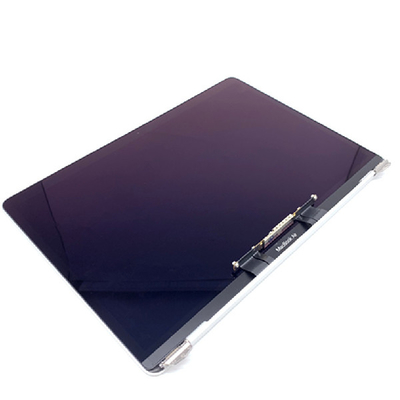 Ersatz-Schirm LCD-Macbook Air-A2179 13,3 Zoll