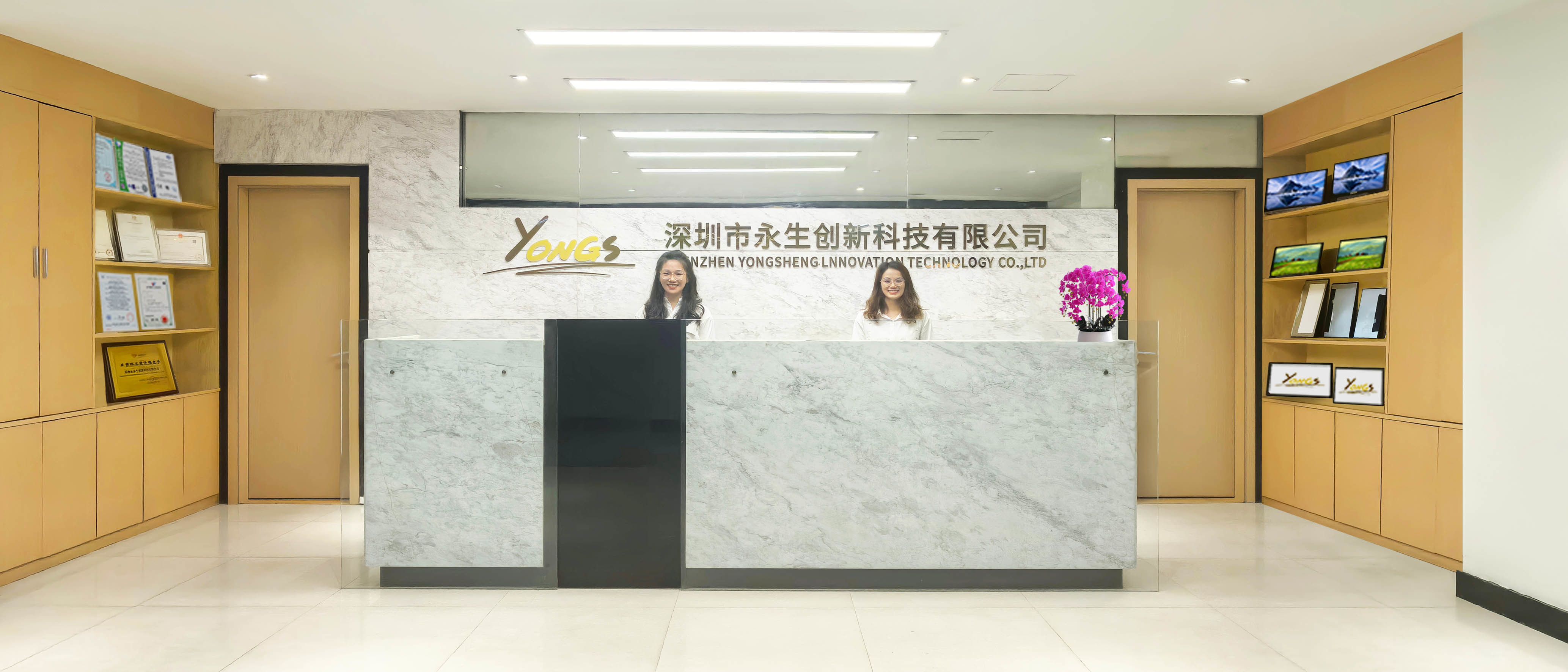 China Shenzhen Yongsheng Innovation Technology Co., Ltd Unternehmensprofil