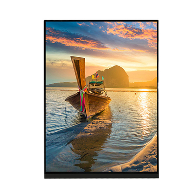 7,9 LCD-Bildschirm-Anzeigefeld LQ079L1SX01 des Zoll-1536×2048 für iPad Mini 2 3
