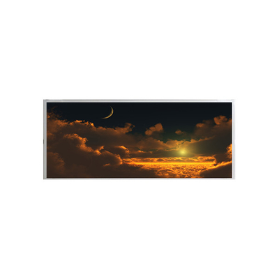 Vorlage 6,8 Zoll für BOE-LCD-Bildschirm-Anzeigen-Modul-Plattennote AV069Y0Q-N10