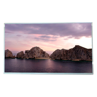 Industrielle LCD-Bildschirm-Anzeige BOE EV238FHM-N21 1920*1080 FHD 23,8 Zoll lcd-Modul für medizinische Bildgebung
