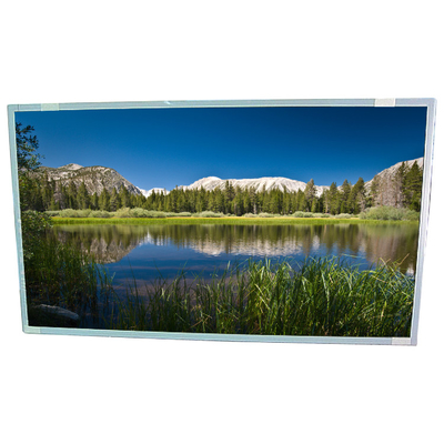24.5-Zoll-LCD-Bildschirmmodul HSD250MUW2-B00 RGB 1920×1080 FHD 89PPI