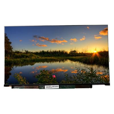 Laptop LTD131EWSX 13,1 Zoll 120PPI LCD Bildschirm