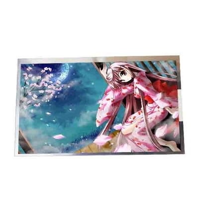 Original 9,0 Zoll LCD-Display C090EAN04.1 hohe Helligkeit für AUO