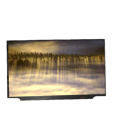 Neues B173HAN05.0 RGB 1920*1080 Frequenz 240Hz LCD-Panel