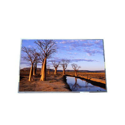 RGB 1440*900 B170PW03 V9 99PPI TFT-LCD-Panel