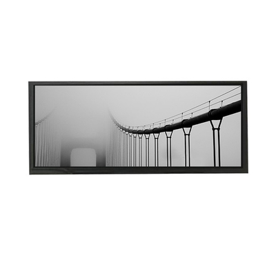 AV103Z7M-N1C-D8P0 10,3 Zoll LCD-Bildschirm LCD-Modul