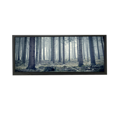 AV103Z7M-N13-3850 10,3 Zoll LCD-Bildschirm
