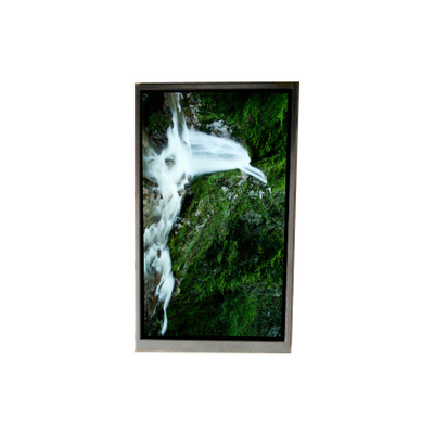 BA060WV1-100 6,0 Zoll 480*854 LCD-Bildschirm für Mobiltelefon