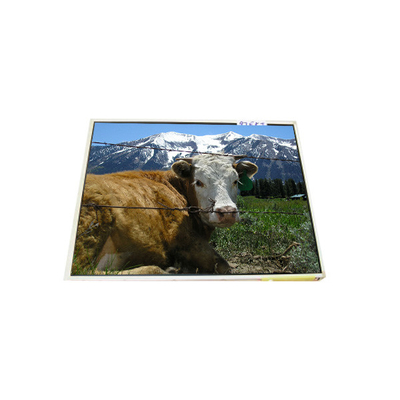 LP121X1-A2M1 12,1 Zoll 1024*768 Laptop-LCD-Display