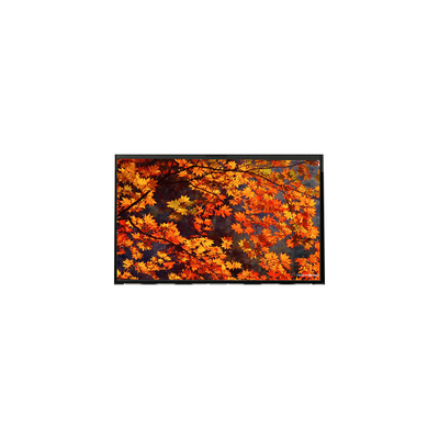 LP133WX1-TLB2 LCD-Display-Panel 13,3 Zoll 1280*800 LCD-Bildschirmmodul