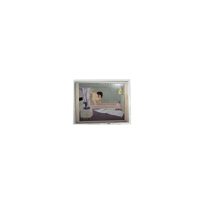 800*480 5,0 Zoll AM-800480NATZQW-00H LCD-Bildschirm
