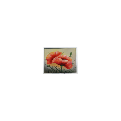 DMF5010NF-FW 240*64 5,2-Zoll-LCD-Panel Industriebildschirm