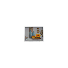 10.4 Zoll LCD-Display TCG104SVLQ*PNN-AN*55 800*600 LVDS-Schnittstelle