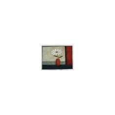 7.0 Zoll 800*480 HSD070JDW6-A00-0220 LCD-Display für Automobil