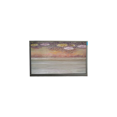 6.1 Zoll TFT-LCD-Panel U061SWR6-0 LCD-Bildschirm-Display-Panel