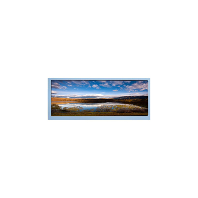 M102AWF2 R2 10,3 Zoll 1920*720 LCD-Bildschirm