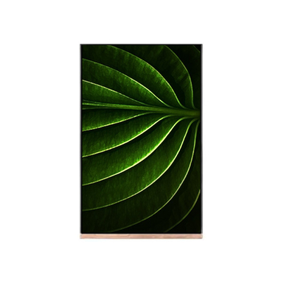 LCD-Bildschirm 10,1 Zoll für NV101WUM-N53 LCD-Modul