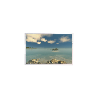 10.1 Zoll 1920*1080 LCD Monitor Bildschirm AV101FHT-T10-28P0