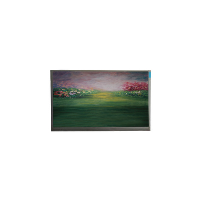LCD-Bildschirm für 13,3 Zoll R133NWF4 RB-LCD-Modul