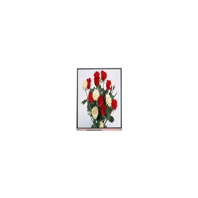 720*1480 LCD-Bildschirm 6,3 Zoll C063SWR1-0