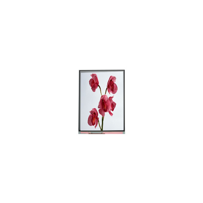 480*960 C060SWY7-0 6,0 Zoll LCD-Bildschirm