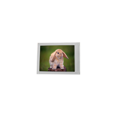 F055A25-604 5,5 Zoll 720*1440 LCD-Bildschirm