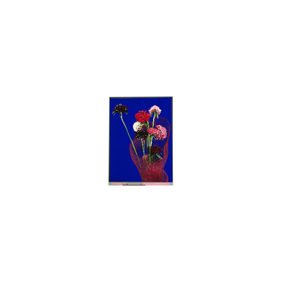 5.4 Zoll C054SWR6-0 540*1132 LCD-Bildschirm für Telefon