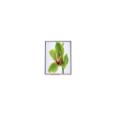 5.0 Zoll TFT-LCD-Bildschirm 480*854 C050SWYG-3