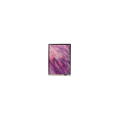 5.2 INCH LS052T3SX15 1080*1920 LCD-Bildschirm