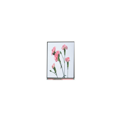 C060SWA3-3 6,0 Zoll 720*1280 LCD-Bildschirm für Telefon