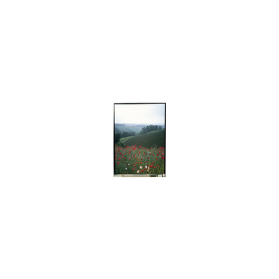 5.5 Zoll LS055B1SX01B LCD-Panel mit Touch für Mobiltelefon