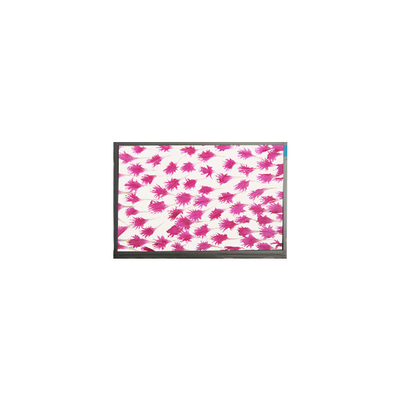 9.0 Zoll 800*480 LCD Bildschirm Anzeige E090SWP1 R2 LCD-Panel