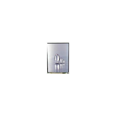 LS038Y7DX01 3,8 Zoll 480*800 LCD-Bildschirm