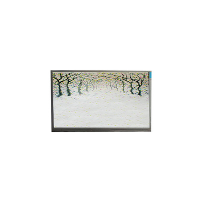 R125NWR3 R3 12,5 Zoll LCD-Modul 1366*768 LCD-Display