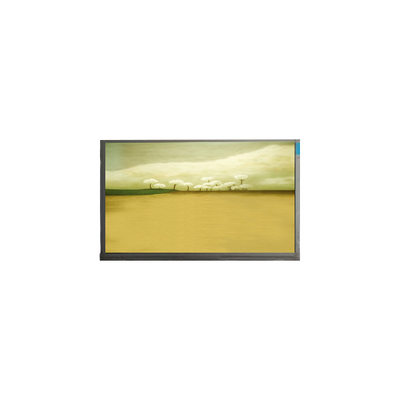 21.5 Zoll M215HJK-L3B LCD-Bildschirm