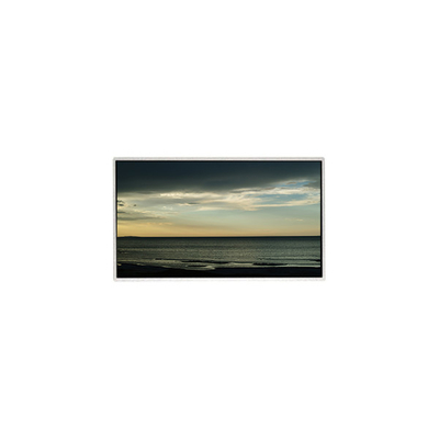 TT101WSB-NW0 LCD-Panel 10,1 Zoll 1024*600 LCD-Display