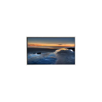 TT090WSQ-N10 9,0 Zoll 1024*600 LCD-Bildschirm