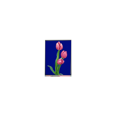 C055SWF4 R0 LCD Modul 5,5 Zoll TFT-LCD-Display