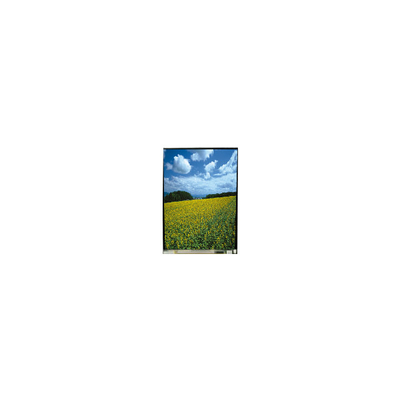 LS054T3SX01A Original 5,4 Zoll MIPI-Schnittstelle 1080*1920 TFT-LCD-Modul