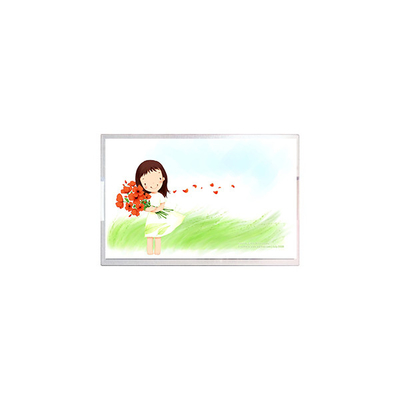 5.5 Zoll LCD-Panel TL055VYXP14 1080*1920 LCD-Display