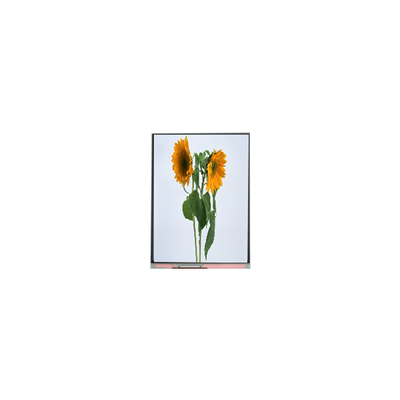 9.0-Zoll-Lcd-Anzeigemodule für das IVO-Lcd-Panel C090SWT3-0 1024*600
