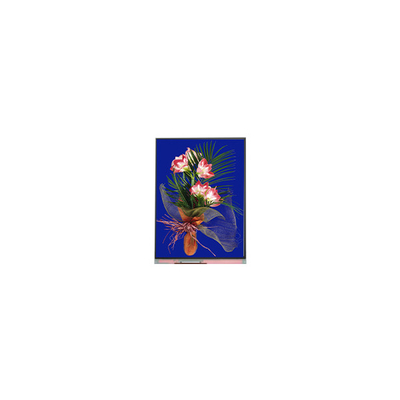 5.4 Zoll LCD-Panel 540*960 C054SWN1-1 LCD-Displaymodul