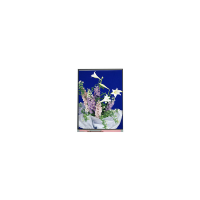 C054SWN1 R0 tft LCD-Bildschirm 5,4-Zoll-LCD-Panel