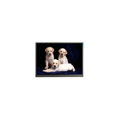23.6 Zoll 1920*1080 FHD M236HGE-P02 LCD-Bildschirm