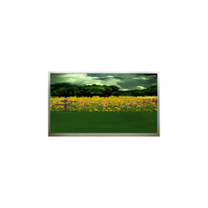 15.6 Zoll N156B3-L01 1366*768 60Hz LCD Bildschirm auf Lager