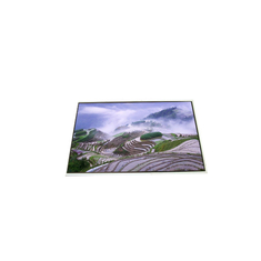 LP156WH2-TLB1 15,6 Zoll 1366*768 220 cd/m LCD-Modul