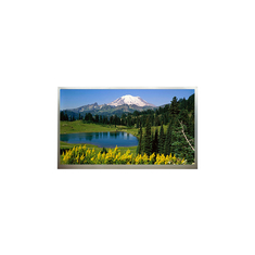 18.4 Zoll 1920*1080 LCD-Display N184H4-L04